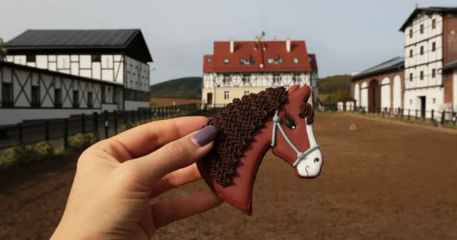 Najlepsze stajnie w Dolnym Śląsku: nauka jazdy konnej i hipoterapia